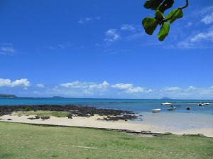 mru01